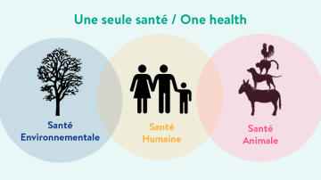 Logo_One_Health